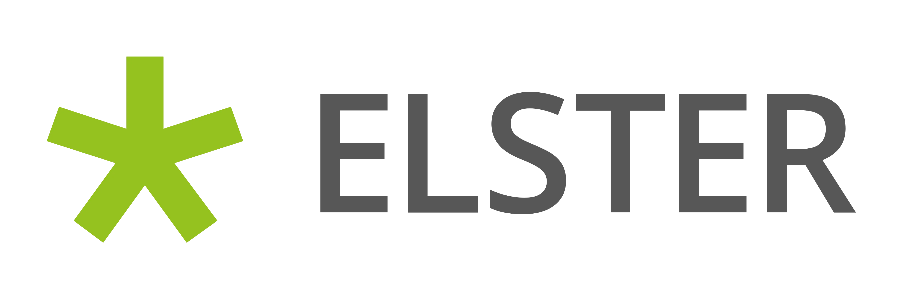 ELSTER Logo